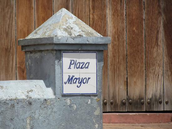 la Plaza Mayor