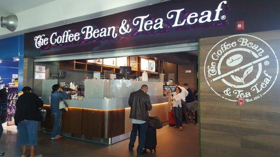 The Coffee Bean and Leaf Panama