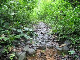 Camino de Cruces