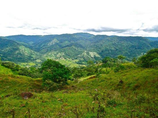 Jungle Adventures by Kalu Yala