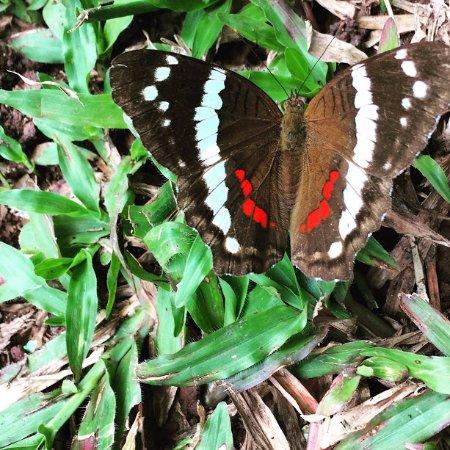Mariposario Metropolitano
